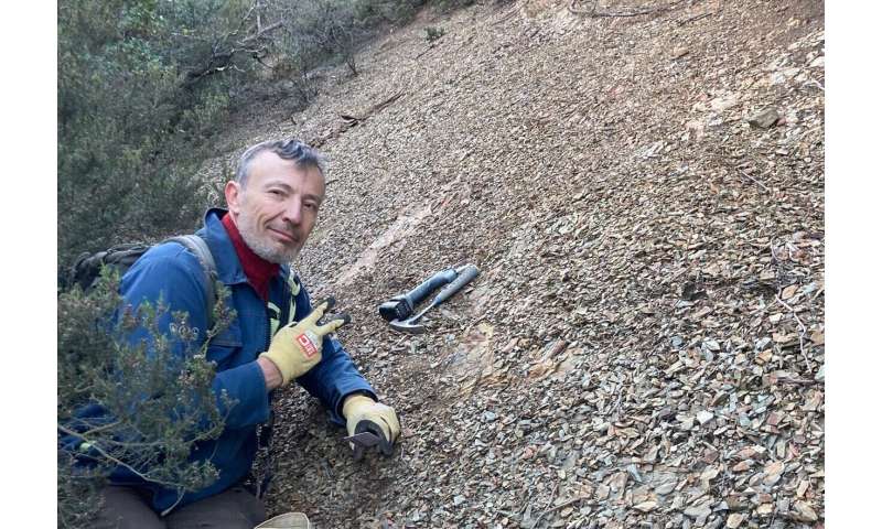 New fossil site of worldwide im<em></em>portance uncovered in southern France